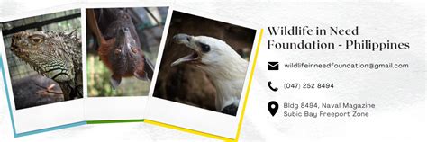 Wildlife In Need Foundation .